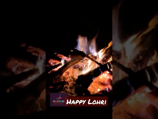 Happy Lohri full day bekar minivlog #shorts #lohri class=
