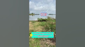 18 công đất ruộng,xã Nhơn hoà lập,tân thạnh,Long an.giá:180tr/ công