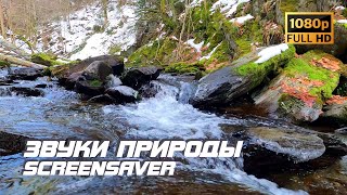 Живая природа - Бурная река | Звуки природы | Звуки реки | Релаксация | Снятие стресса | АСМР