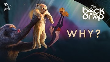 The Problems with the 