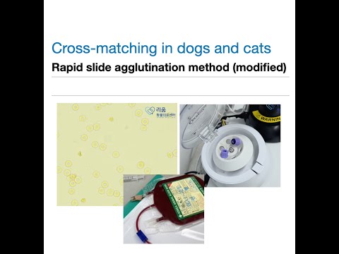 Crossmatching in dogs and cats  – RAPID SLIDE AGGLUTINATION METHOD(modified)