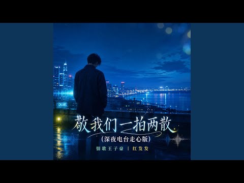 敬我们一拍两散 (深夜电台走心版)