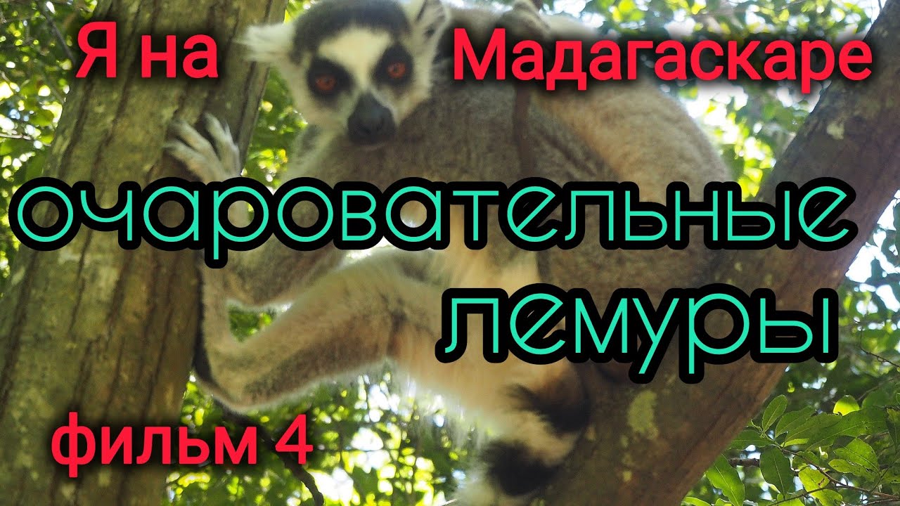 Уникальный Мадагаскар -  Райские Уголки  : Каньоны , Лемуры и Черное Озеро..