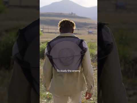 La amenaza de los ácaros Varroa para las colonias de abejas