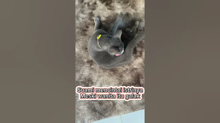 Watch the video about Fakta Kejam⁉️ #kucingbusok #cat #catlover #catshorts #cutecat #funnycats #pets #pecintakucing