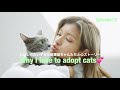 ローラの愛するねこちゃんたちとのストーリー😢💕『Why I love to adopt cats』