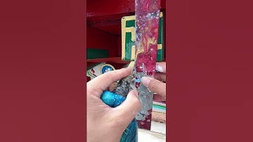 Lý do người xưa luôn chạm khắc biểu tượng này ở nơi trang trọng nhất