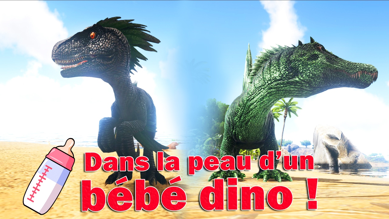 Dans La Peau D Un Bebe Dino 6 Ark Survival Evolved Fr Youtube Dans La Peau D Un Bebe Dino 6 Ark Survival Evolved Fr Youtube
