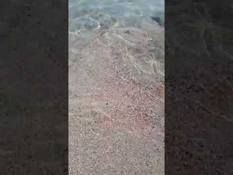 Ogliastra, spiaggia 'il Golfetto': acque trasparenti, sabbia finissima e granelli di corallo