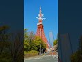 四国と東京、どっちに旅行行きたい?