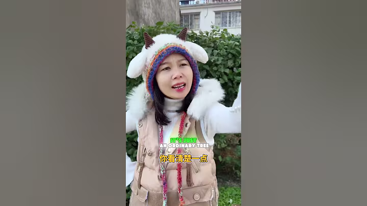 👀🌳 There’s a pair of big eyes hidden in this tree! #funny