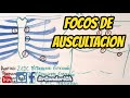 Focos de auscultación cardiaco (facil y sencillo)