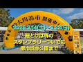 2026.3.14(土)〜22(日)大陶器市 in 堺市浜寺公園