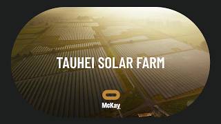 Mckay: Tauhei Solar Farm Case Study