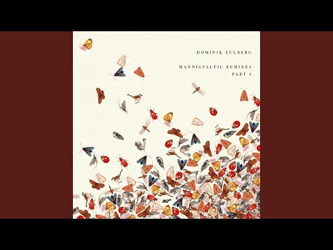 Zehnpunkt-Marienkäfer (Shed Remix)