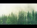 Soft rain ambient  rain sounds for sleeping  rain sounds