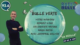 BULLE VERTE #6 Le Pissenlit