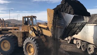 Caterpillar 992B Wheel Loader Loading Coal On Trucks