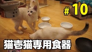 子猫用の食器「猫壱 脚付フードボウル」を購入＿2016年11月12日