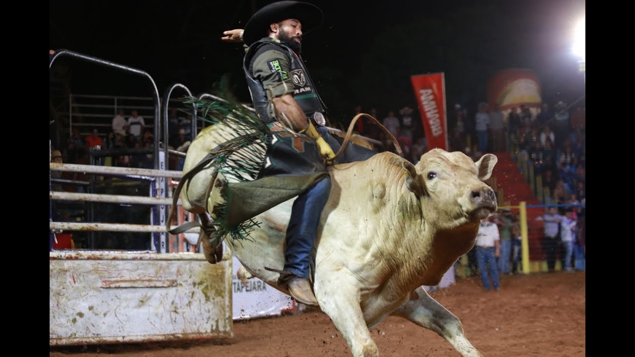 TOP 90 Pontos - Narração de ALMIR CAMBRA | Rodeio em Touros