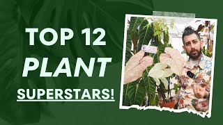 Top 12 Houseplants Exploding in Growth This Season!