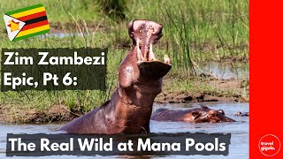 Zim Zambezi Epic, Part 6: The Real Wild, Unfenced at Mana Pools (Overlanding in Zimbabwe)