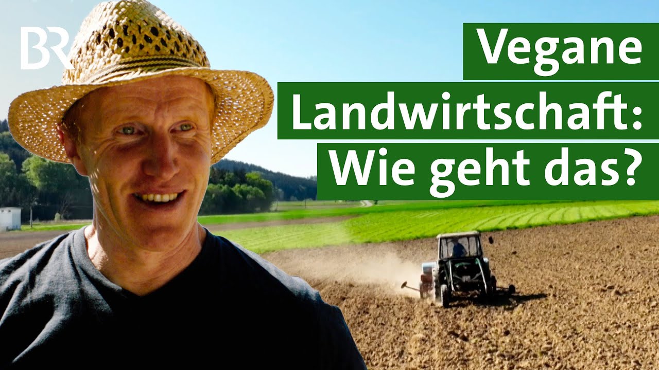 Bio-vegane Landwirtschaft mit Kleegras: Dngen ohne tierische Produkte |  Unser Land | BR