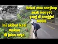 Hampir di terkam sama induk nya Bah..