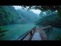The beautiful little river is raining(371) , sleep, relax, meditate, ASMR, Real Shot