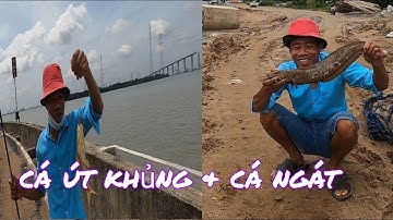 Điểm câu cá lý tưởng, bờ kè sông mương chuối