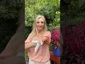 Hot Flash On The Go with Avon Hit Pause