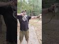 Shooting the Odinson Archery 50 lb Alp Turkish Bow.   #odinsonarchery #Archery #bowandarrow