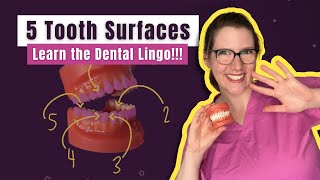 What are the Surfaces of a Tooth? Learn the 5 Dental Surfaces Every Future Dentist Needs to Know