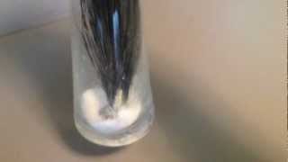 How to dry a turkey beard