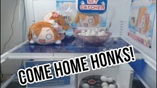Can I Win this Honoka Plush?