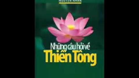 Quyển 4: NHỮNG CÂU HỎI VỀ THIỀN TÔNG - Tập 2
