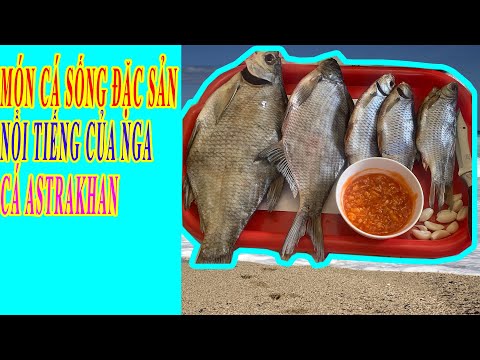 Video: Những địa điểm thú vị ở Astrakhan