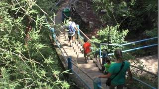 1237 ступеней к Tiger Cave Temple =TaiTrip V770 2016 11 25 06 10 12