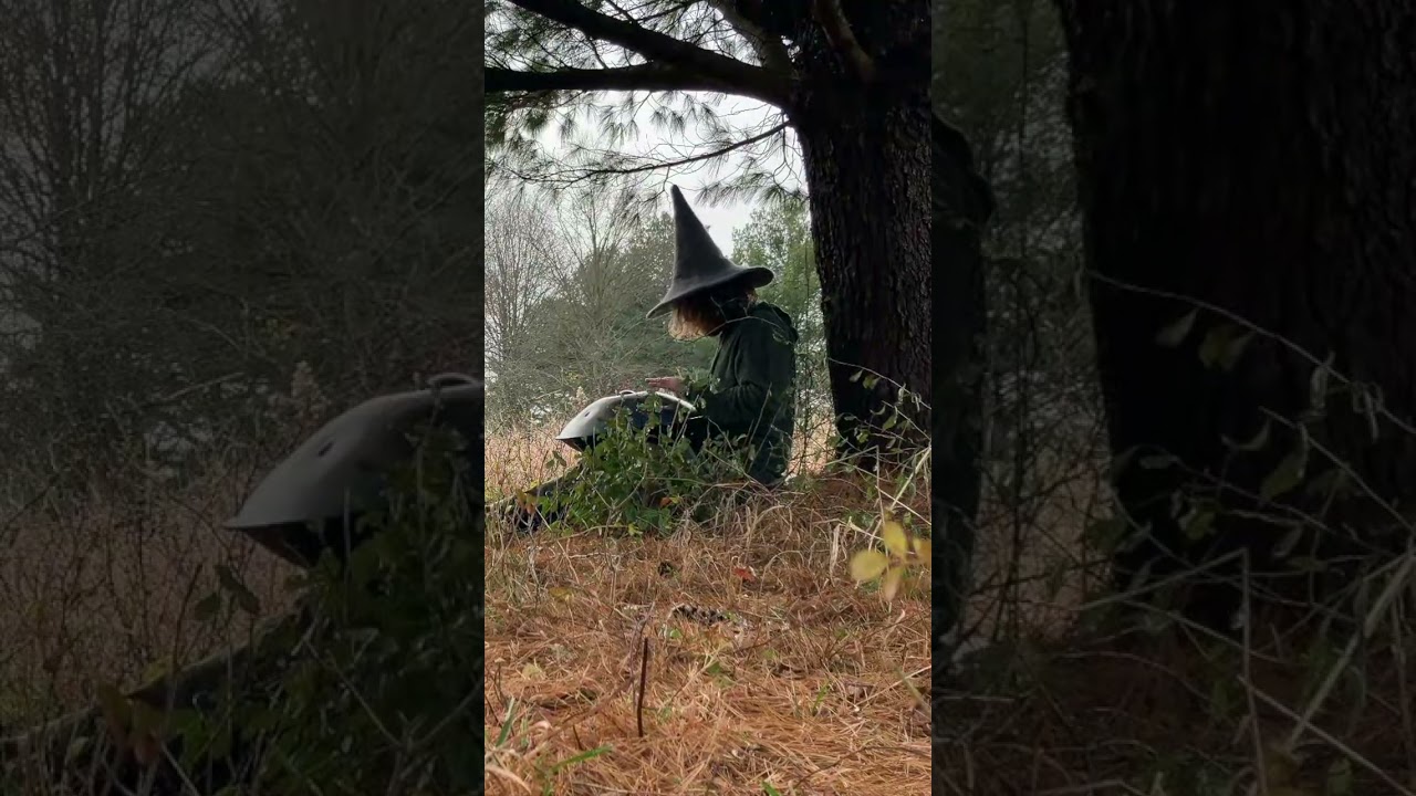 SideQuest #9 One-off recordings from the edges of the wild (Pan + Synth + Nature)