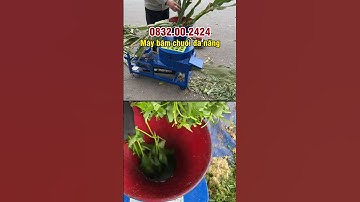 Băm thân cây chuối siêu tốc với máy băm chuối đa năng Bình Minh