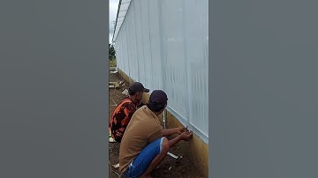 Thumbnail of Pasang insect net #greenhouse #hidroponik #melon #plastikuv #cilacap #kerja