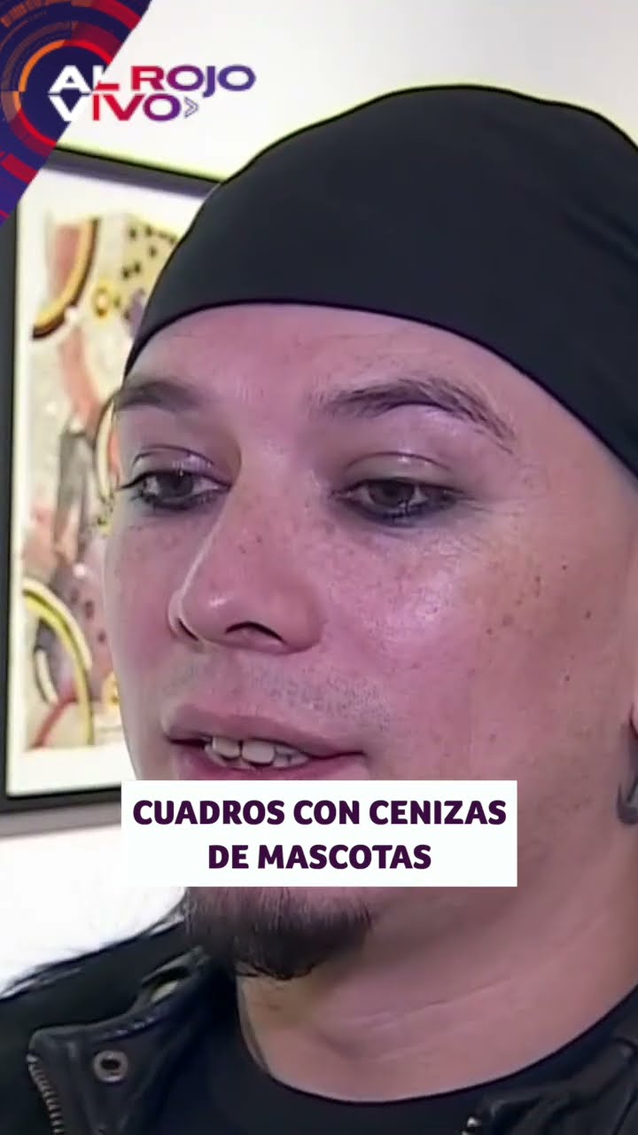 Recrean obras de arte con cenizas de mascotas abandonadas | ARV