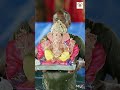 1.5 Days Ganpati Visarjan Reel - BMC E Ward - Decoration Executed By Xcite Up Events