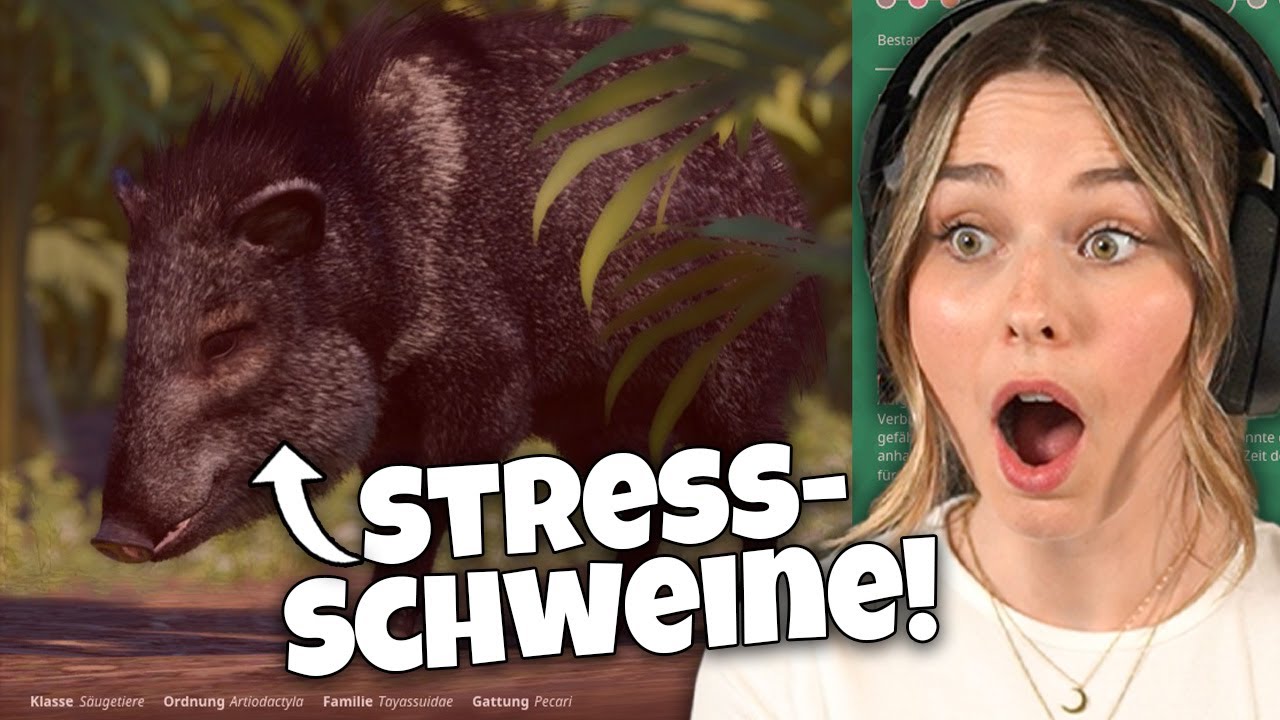 Die Schweine machen Stress! - Planet Zoo: Muckelzoo 71 (Stream vom 05. ... Die Schweine machen Stress! - Planet Zoo: Muckelzoo 71 (Stream vom 05. ...