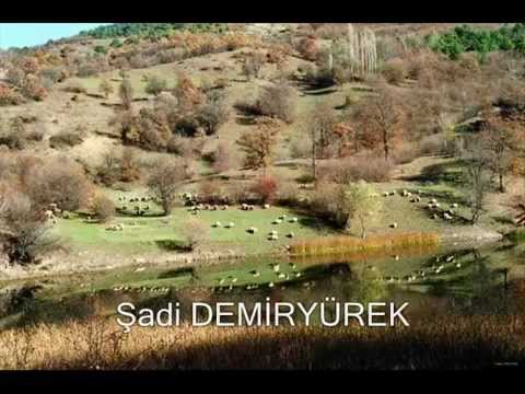 FIRTINASI HİÇ DİNMEDİ HAZAN DEĞİL KIŞ BENDEKİ MURAT YILDIZ