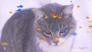 Песенка про кота. Ты мой маленький хорошенький мой котик Песенка про кота. Ты мой маленький хорошенький мой котик