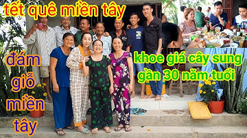 Tết quê miền tây - mùng 6 tết 2022 đi đám giỗ nhà ông 6 xem vườn mít và cây sung 30 tuổi#311