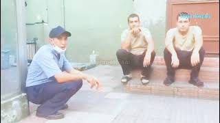 Ortam Bizim - Yayla Rüzgarı