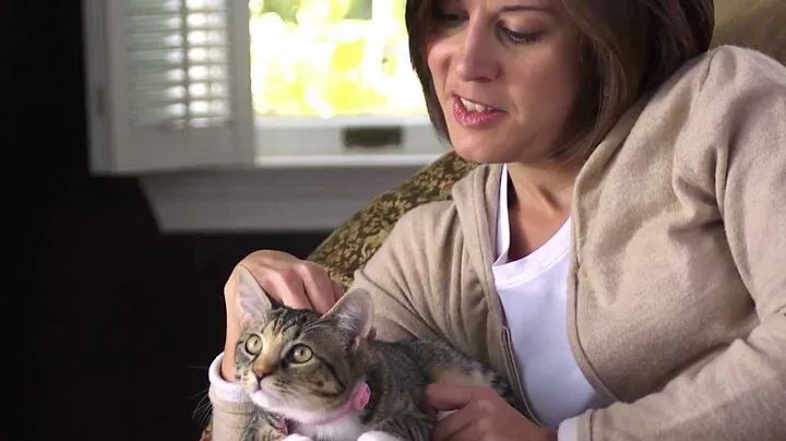 Cat Adoption Stories - Shannon and Izzy - Purina ONE