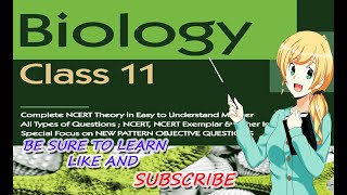 Biology Chapter 1 Diversity in Living World part 8 Taxa, taxanomy, Hierarchical CBSE class 11 XI  72